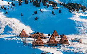 Alto Cabins